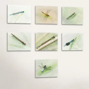 Wingèd Beasties Series
