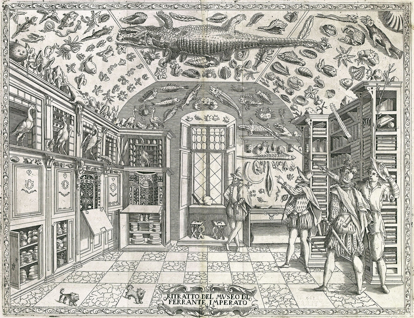 Cabinet of curiosities, 17th century